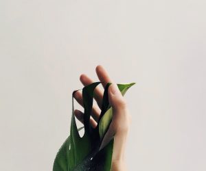 pexels-daria-shevtsova-1029844